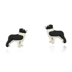 Brincos Border Collie